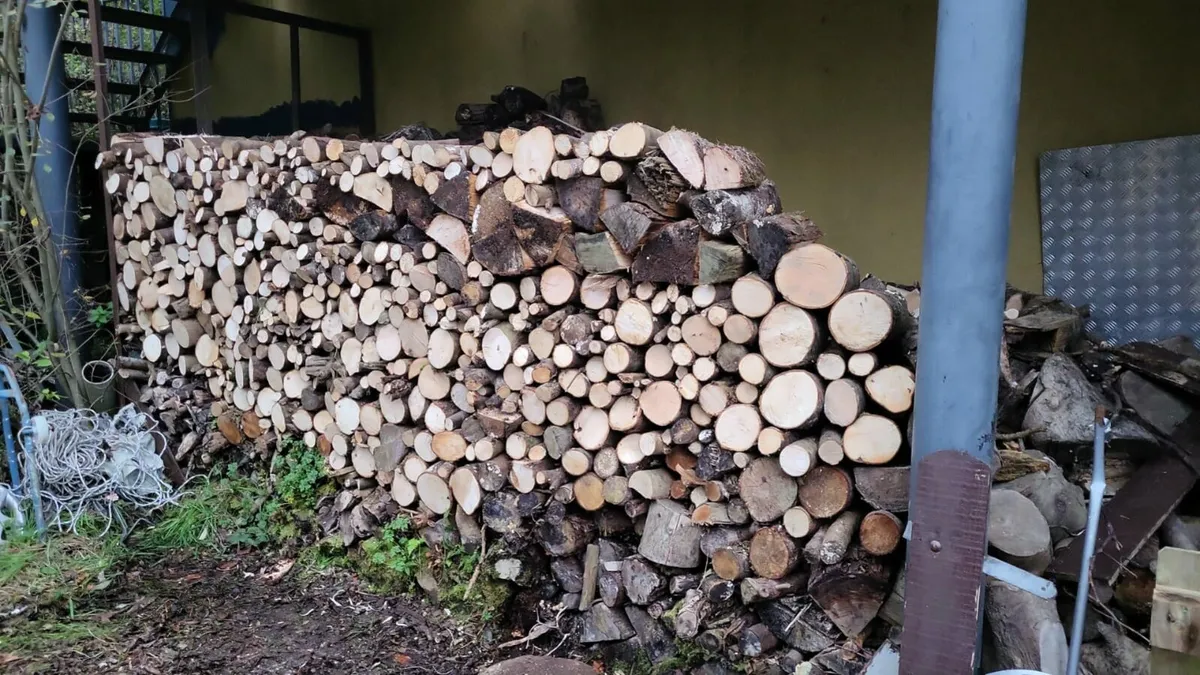 Firewood trailer loads and bags - Image 2