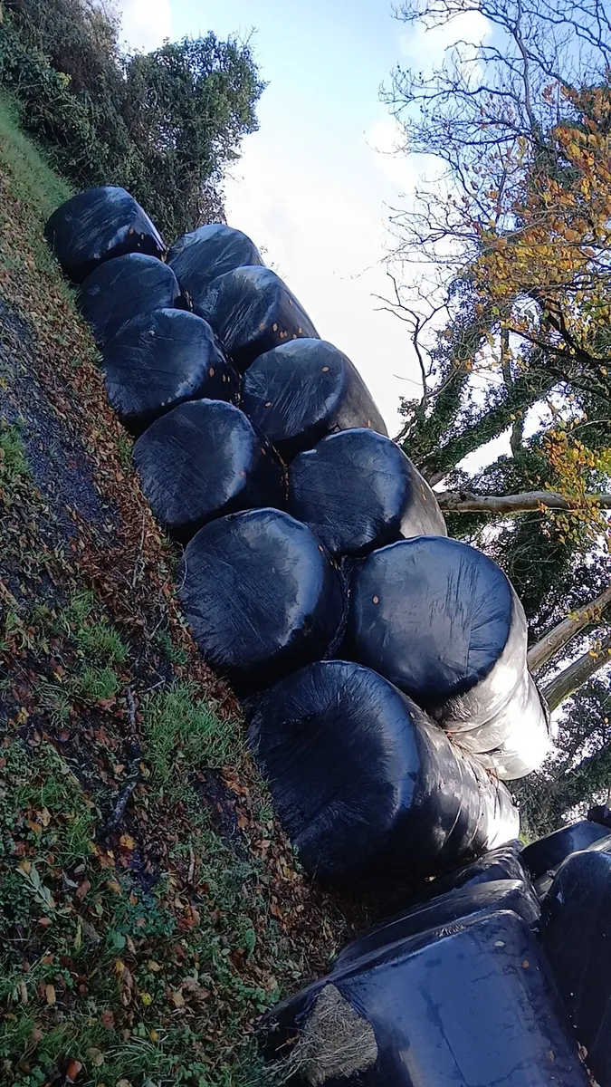 Silage+hay bales - Image 1