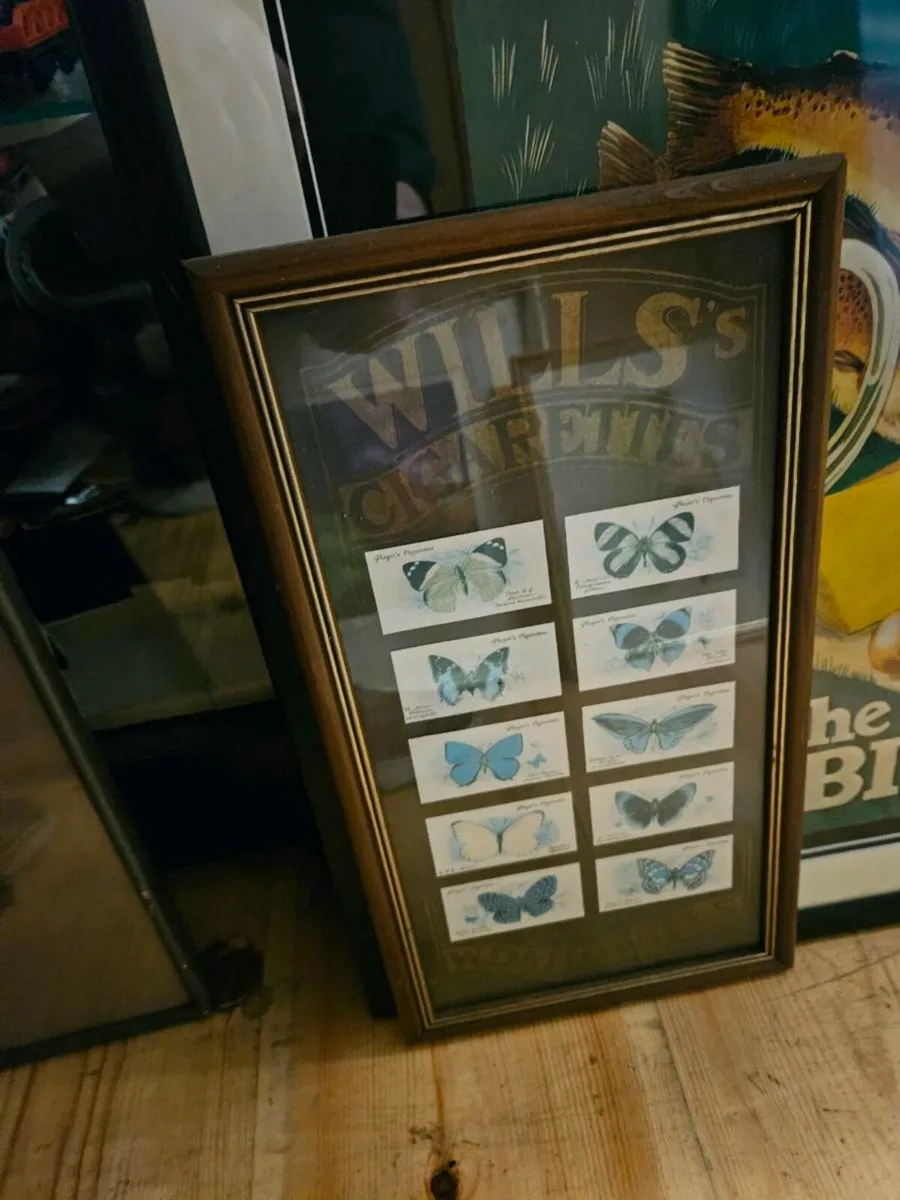 Vintage Player Wills Butterfly Cards - Image 1