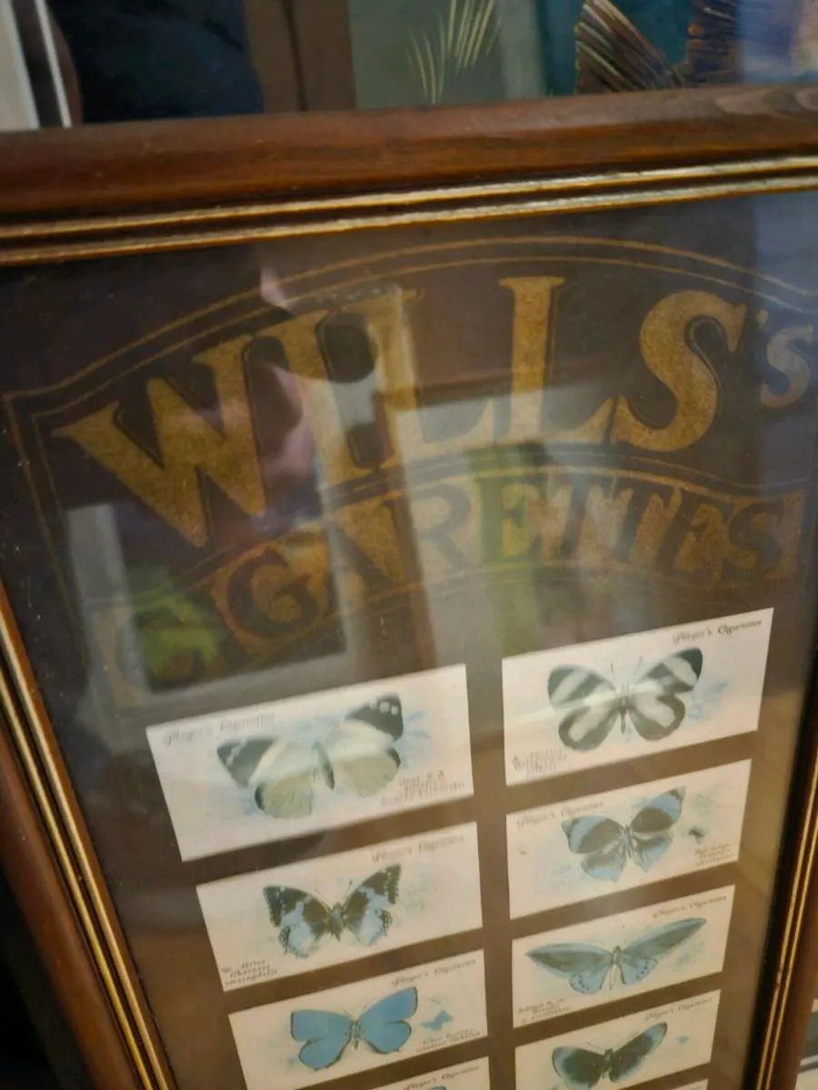 Vintage Player Wills Butterfly Cards - Image 2