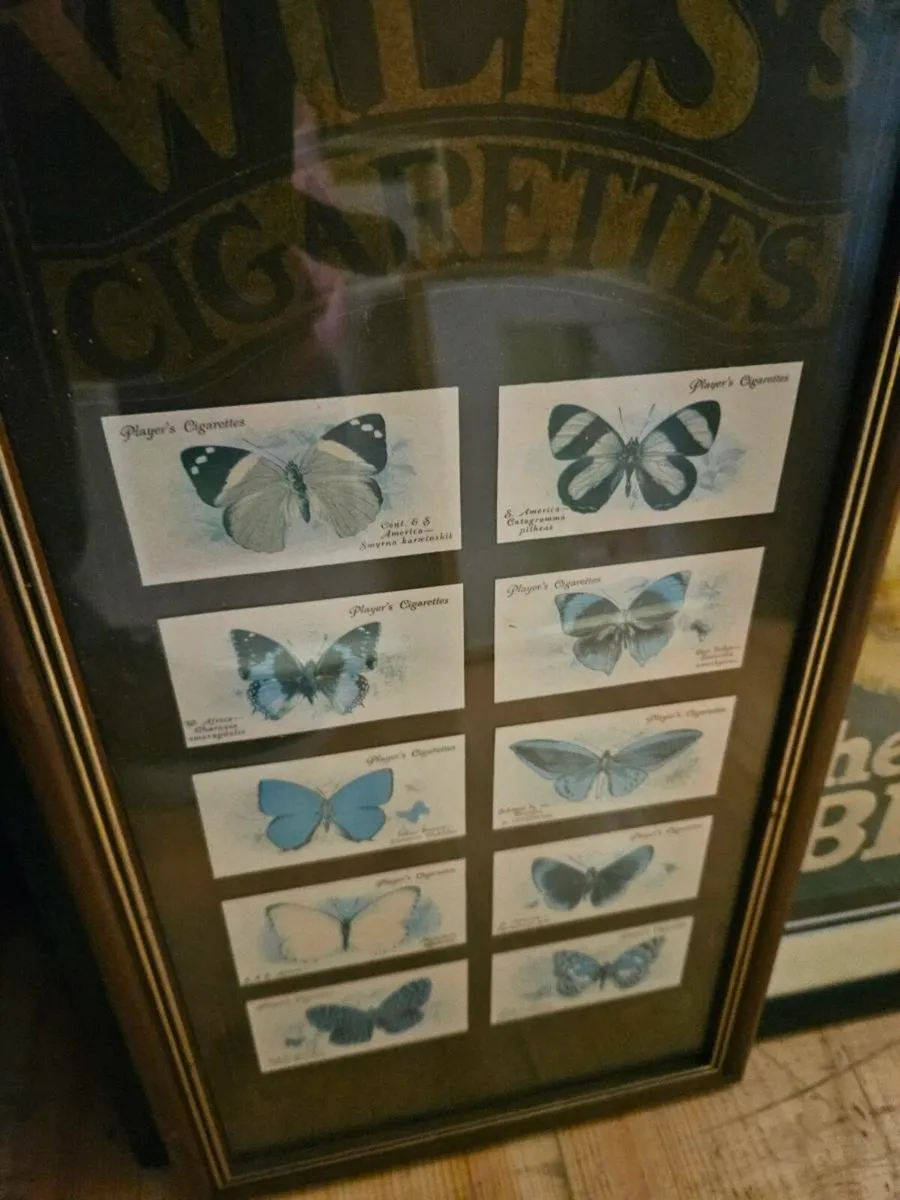 Vintage Player Wills Butterfly Cards - Image 3