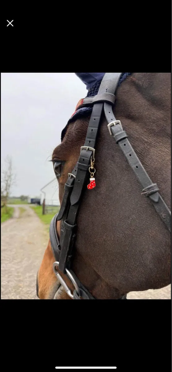 Bridle/ plait charms - Image 1