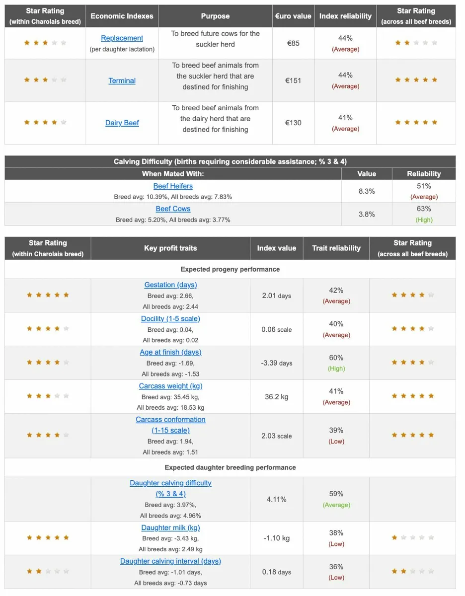 5* Pedigree Charolais Bull - Image 3