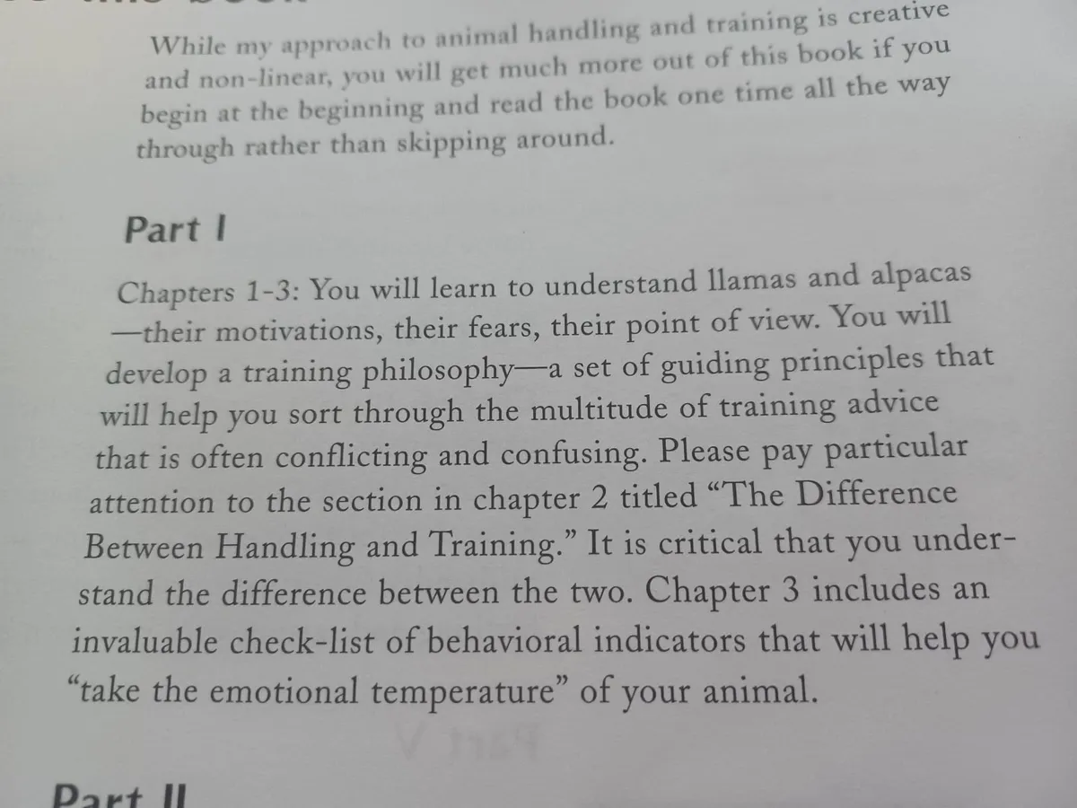 The Camelid Companion - Image 3