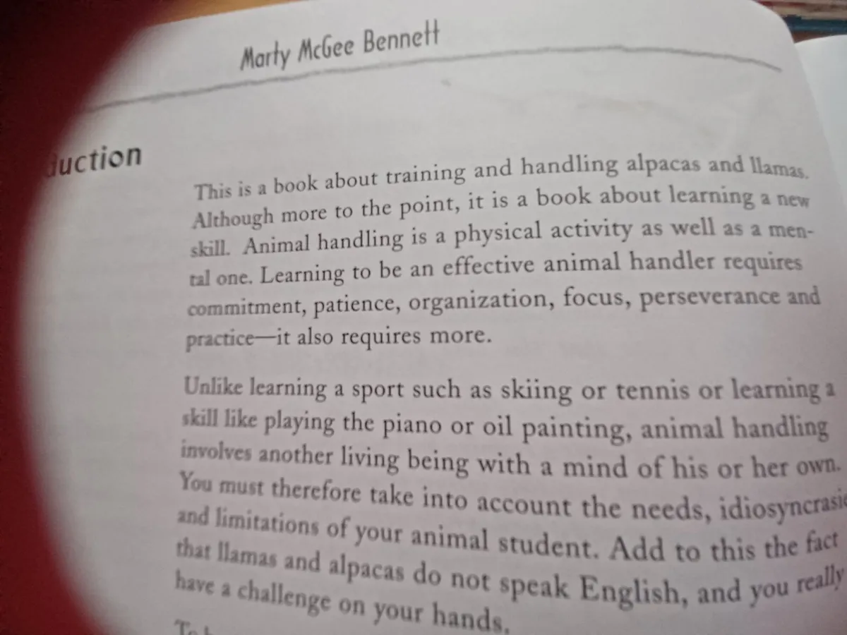 The Camelid Companion - Image 2