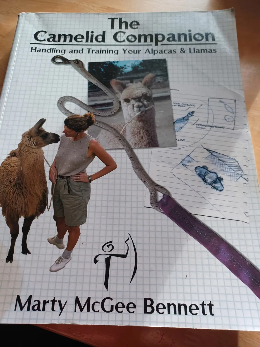 The Camelid Companion - Image 1