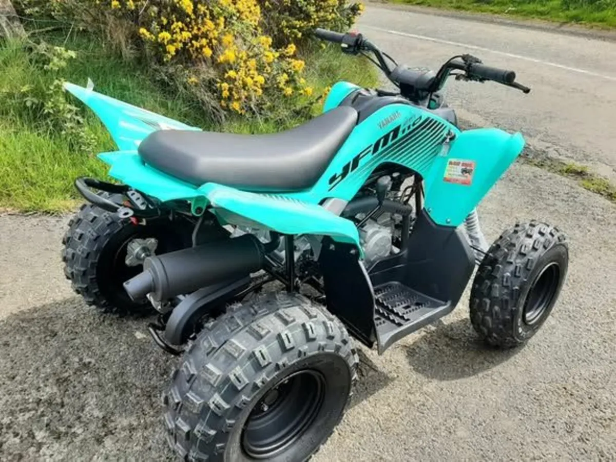 Yamaha YFM110R - Image 3