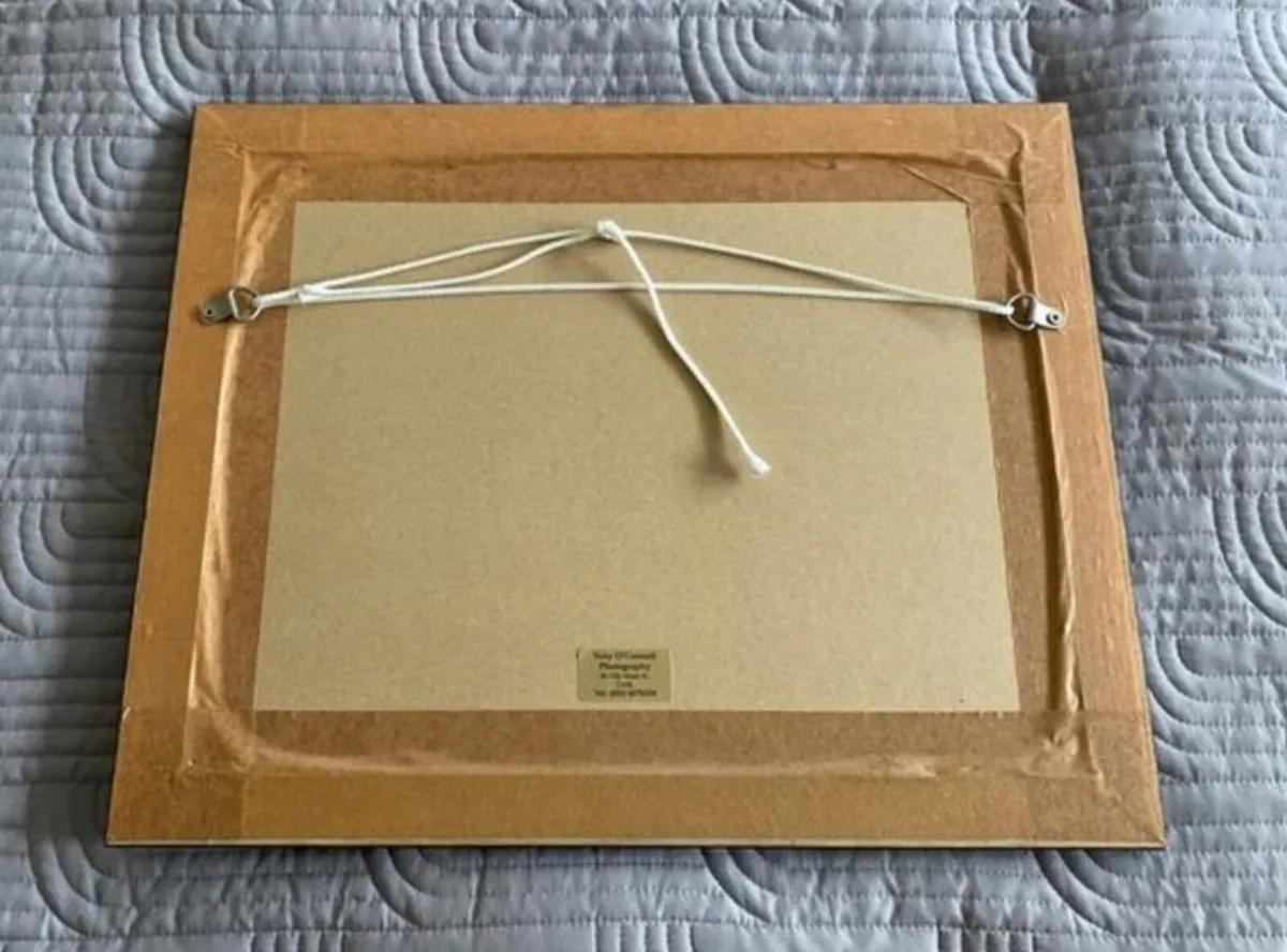 Framed photo - Gougane Barra - Tony O'Connell - Image 2