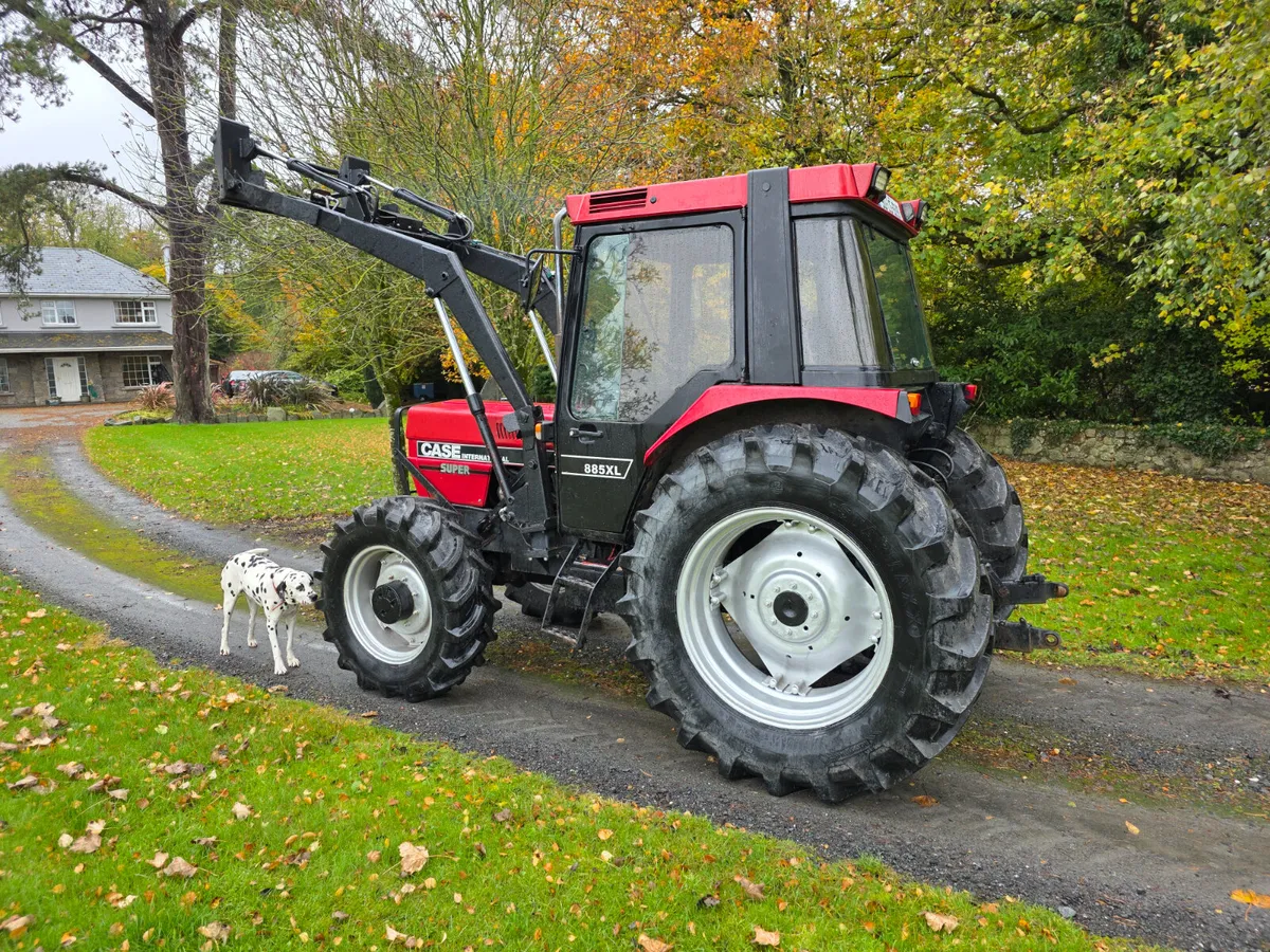 Case 885 supper - Image 2