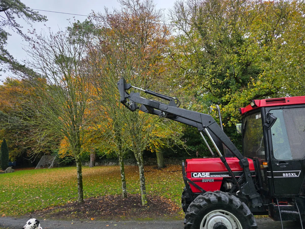 Case 885 supper - Image 3