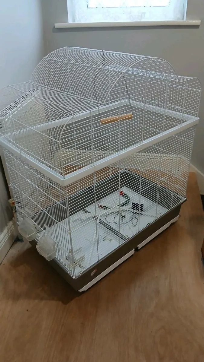 large cage for sale. - Image 3