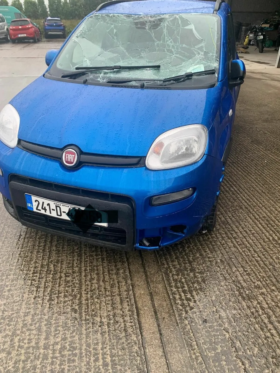 Fiat Panda (not recorded) - Image 2