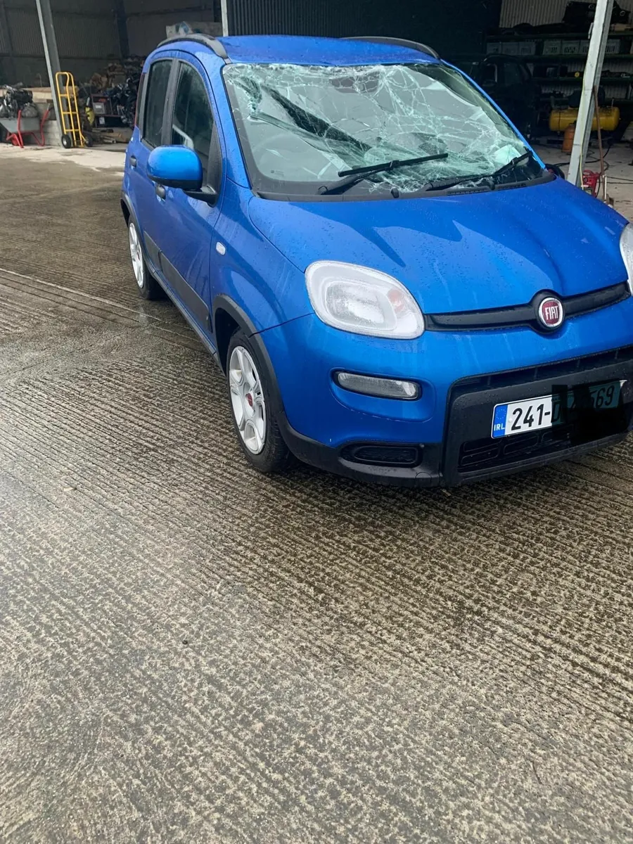 Fiat Panda (not recorded) - Image 1