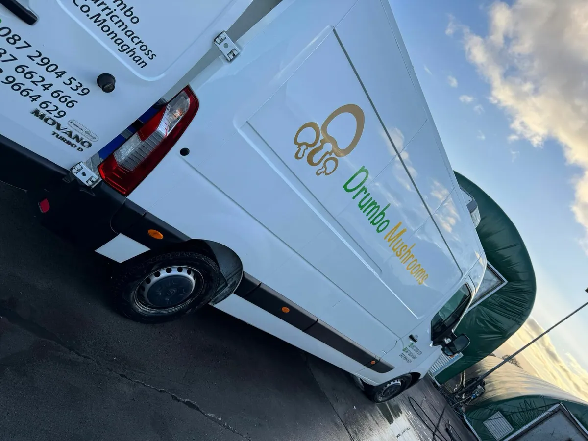 Refrigerated Opel Movano van - Image 4