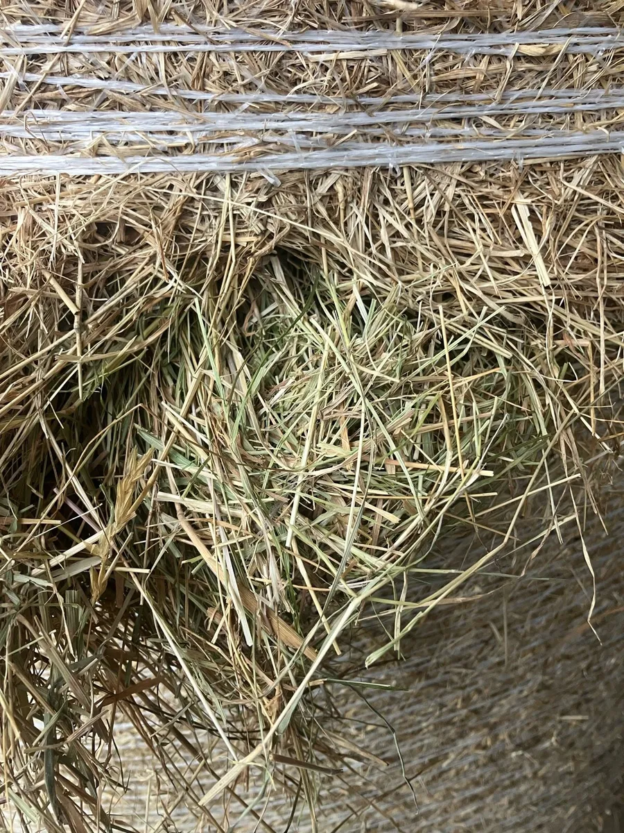 HAY & STRAW    Delivery Available - Image 4