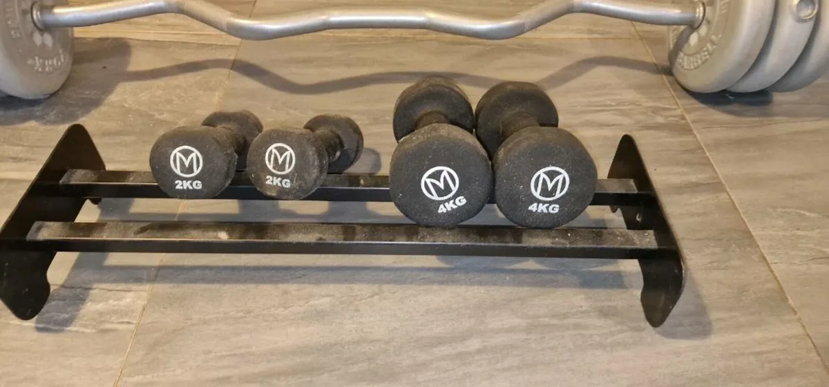 Barbells and Digital resistance stepper - Image 1