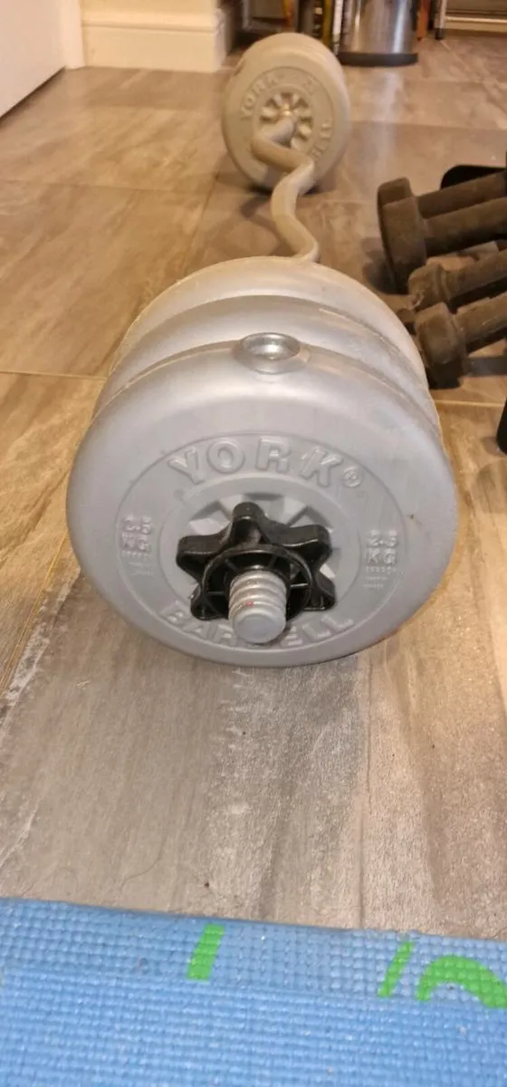 Barbells and Digital resistance stepper - Image 3