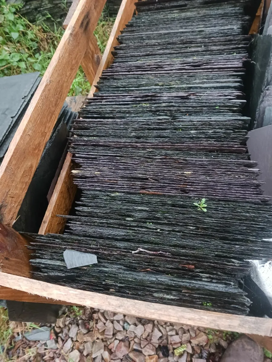 Bangor blue slates - Image 2