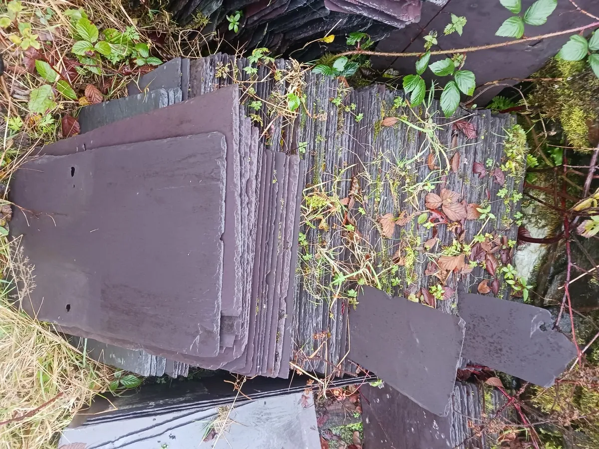 Bangor blue slates - Image 3
