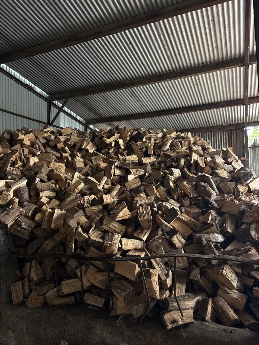 firewood - Image 2