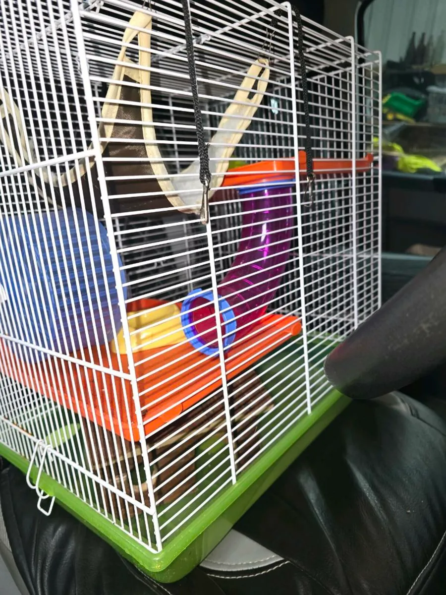 Hamster cages - Image 1