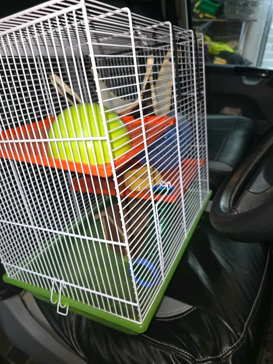 Hamster cages - Image 2