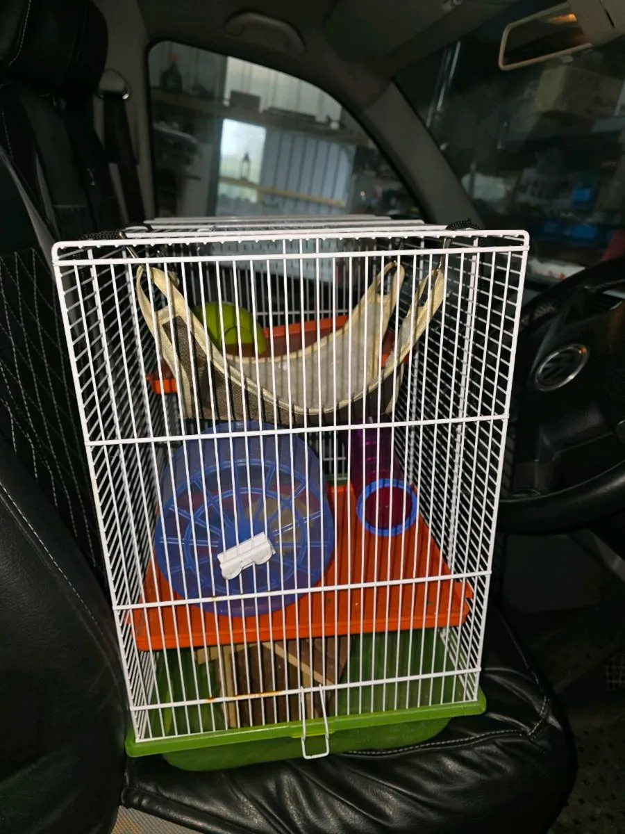 Hamster cages - Image 3