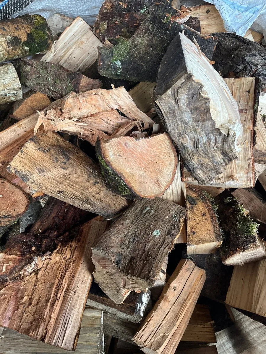 Hardwood and soft wood - Image 1