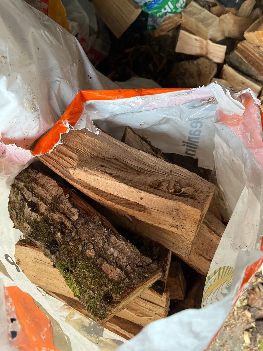 Hardwood and soft wood - Image 2