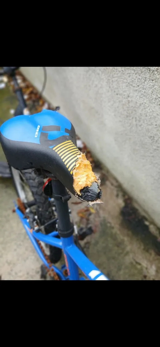 Free - Scooter and bike - Image 2