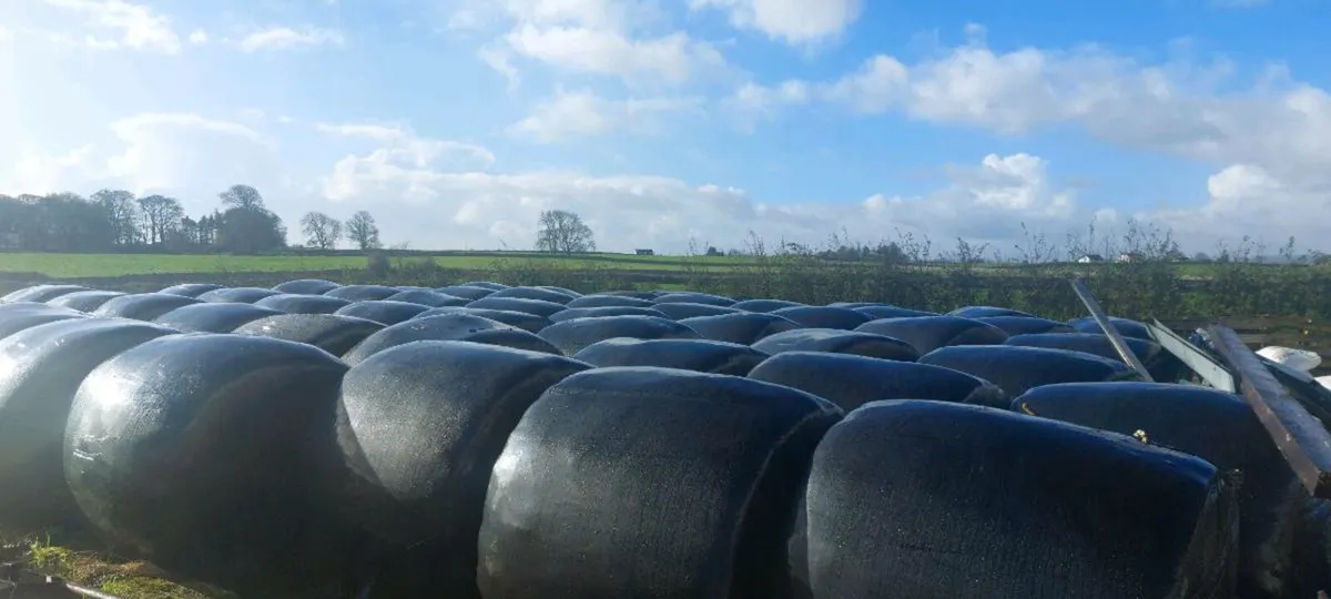 40 bales of silage