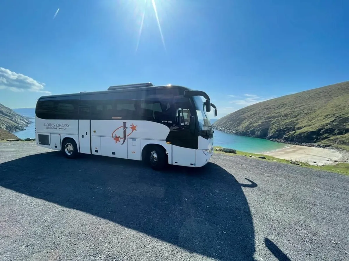 HIGER COACHES 2018 - Image 3