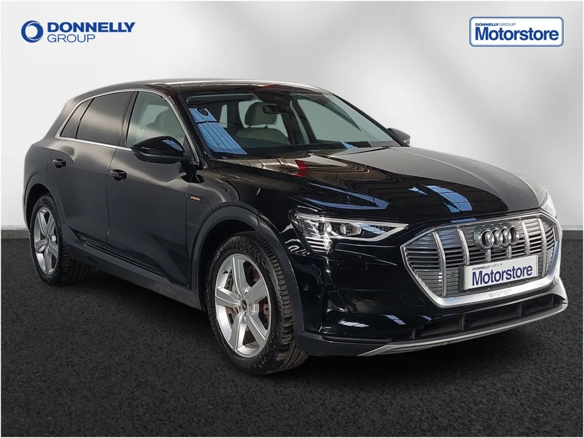 Audi E-tron Estate Technik - Image 1