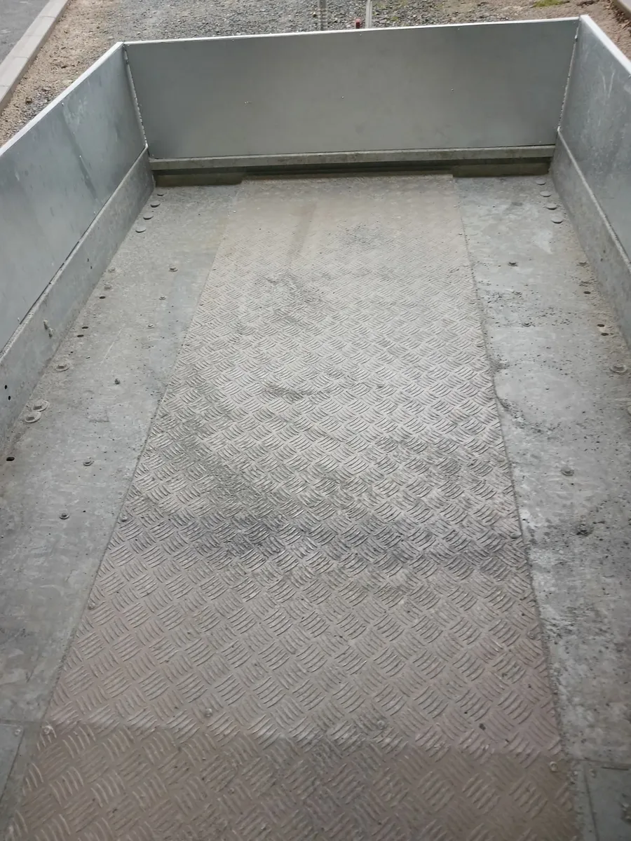 Brian James Cargo Eco Plant 2 trailer - Image 3