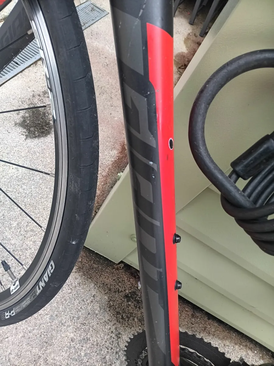 Giant cycle - Image 2