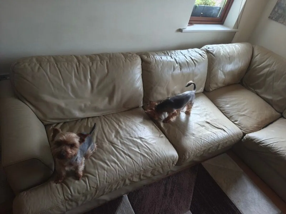 leather sofa - Image 3