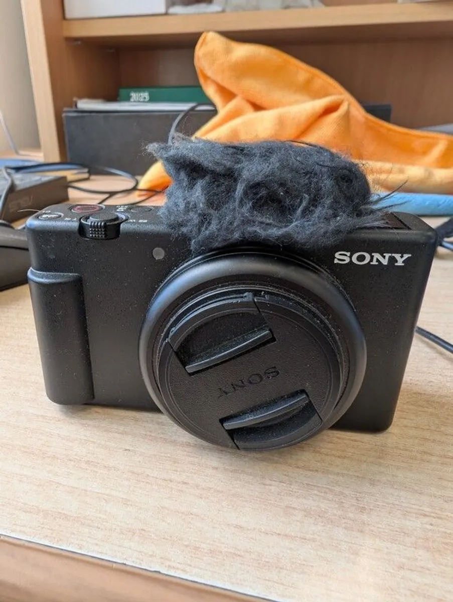 Sony Zv1f - Image 1