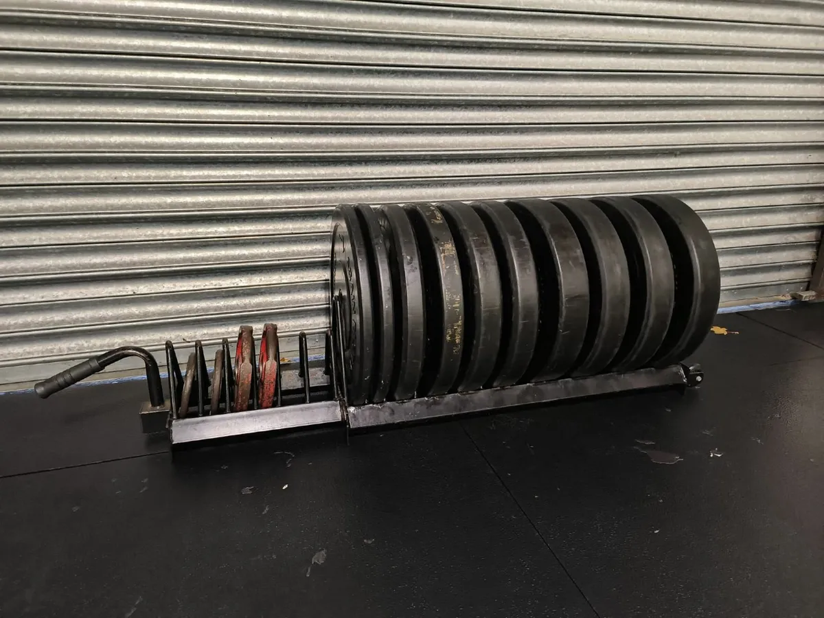Bumper Plates and Storage - Image 2