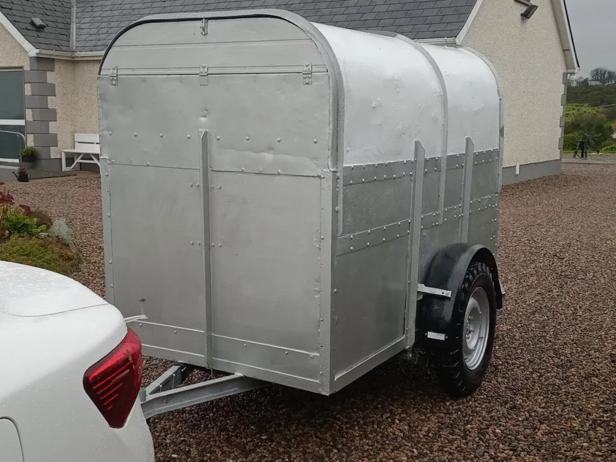 Livestock Trailer / Low Profile / 8 x 4 - Image 2