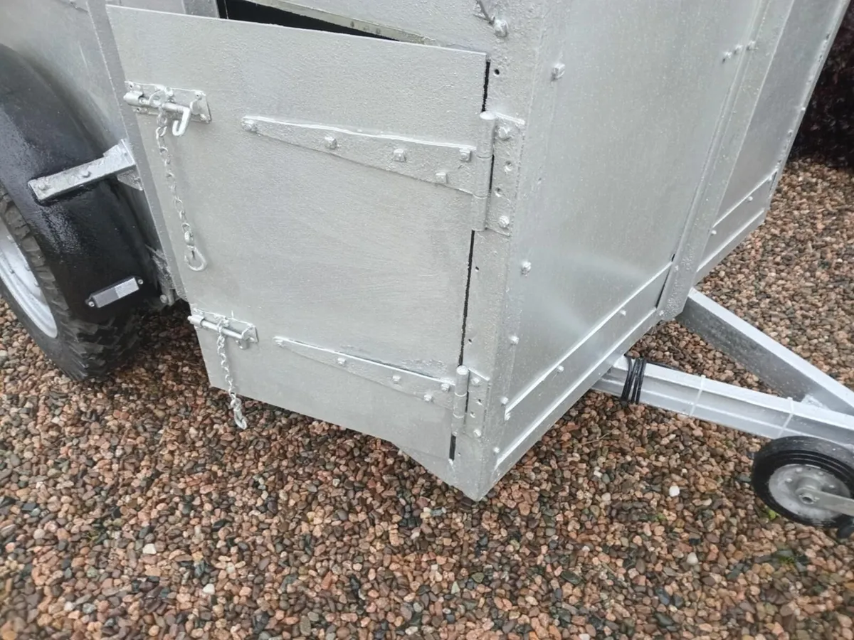 Livestock Trailer / Low Profile / 8 x 4 - Image 4