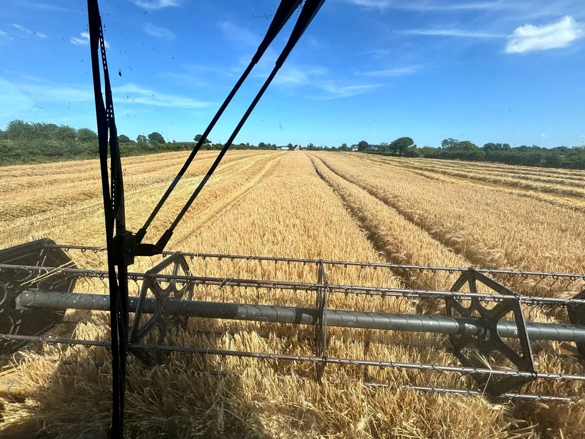 Land wanted for growing corn