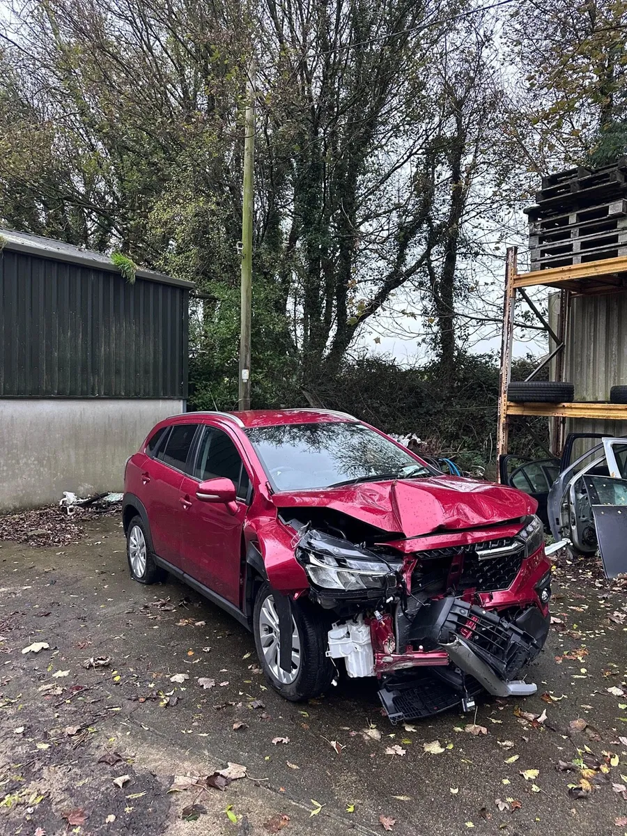 2025 Suzuki SX4 NOT RECORDED - Image 1