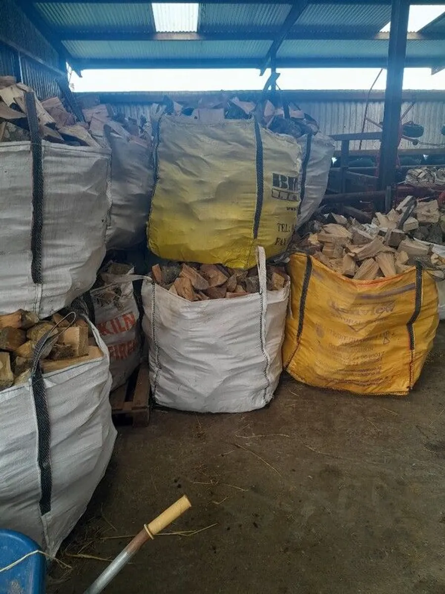 firewood - Image 1