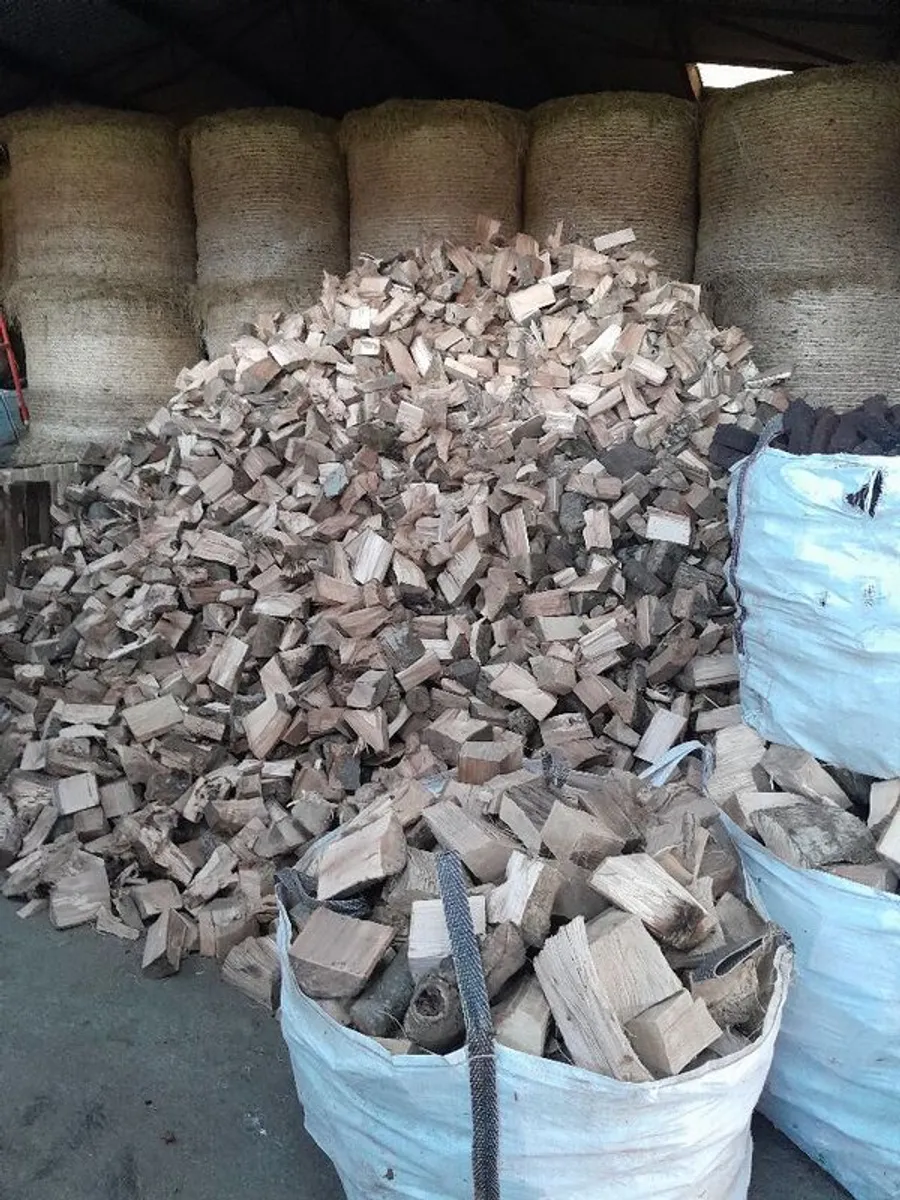 firewood - Image 4