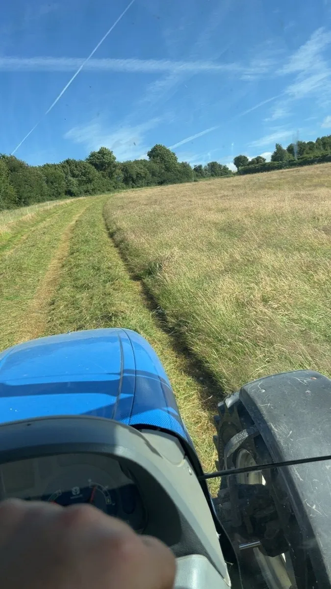 ⭐️Top quality Hay/Silage for sale⭐️ - Image 2