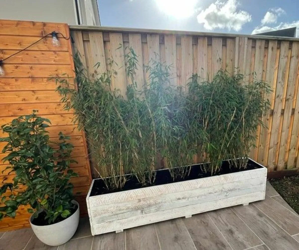 Custom Wooden Planters - Image 1