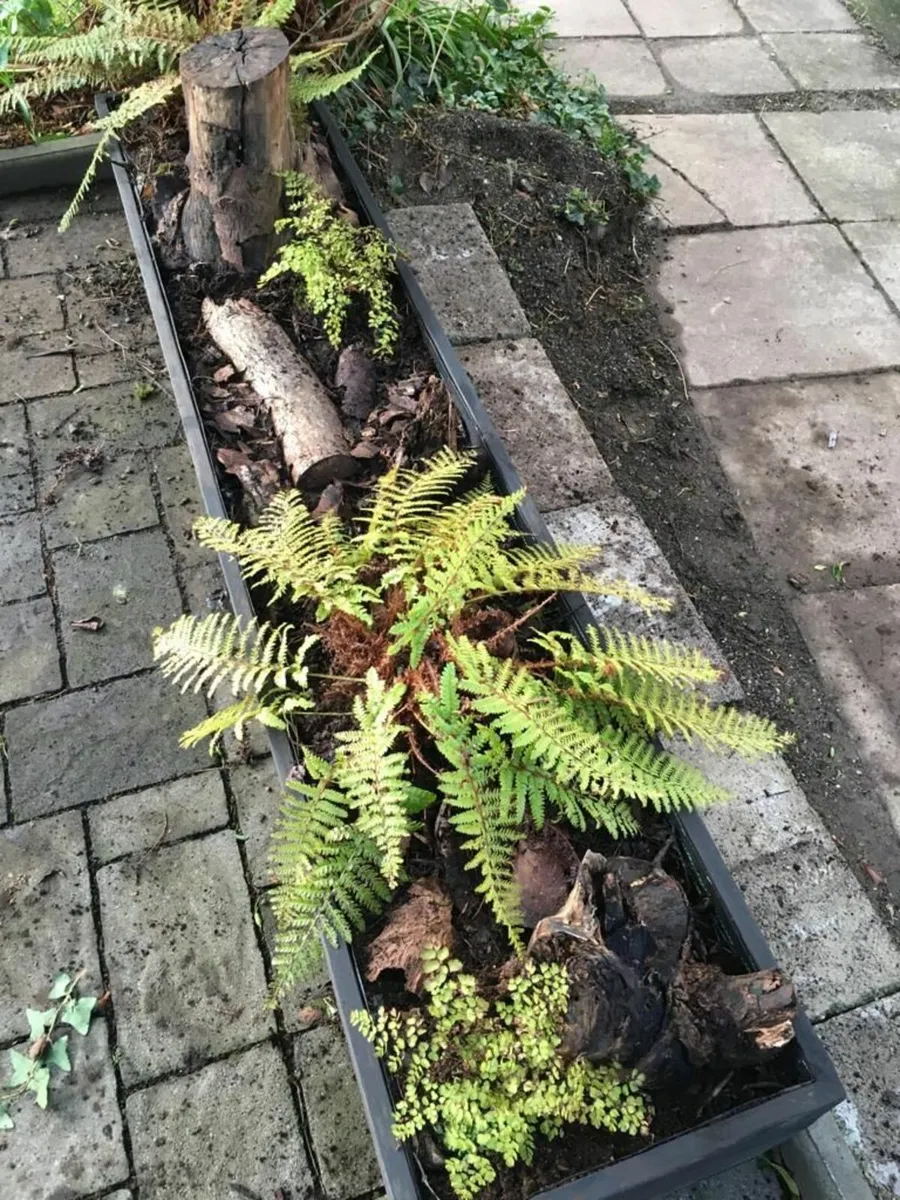 Custom Wooden Planters - Image 2