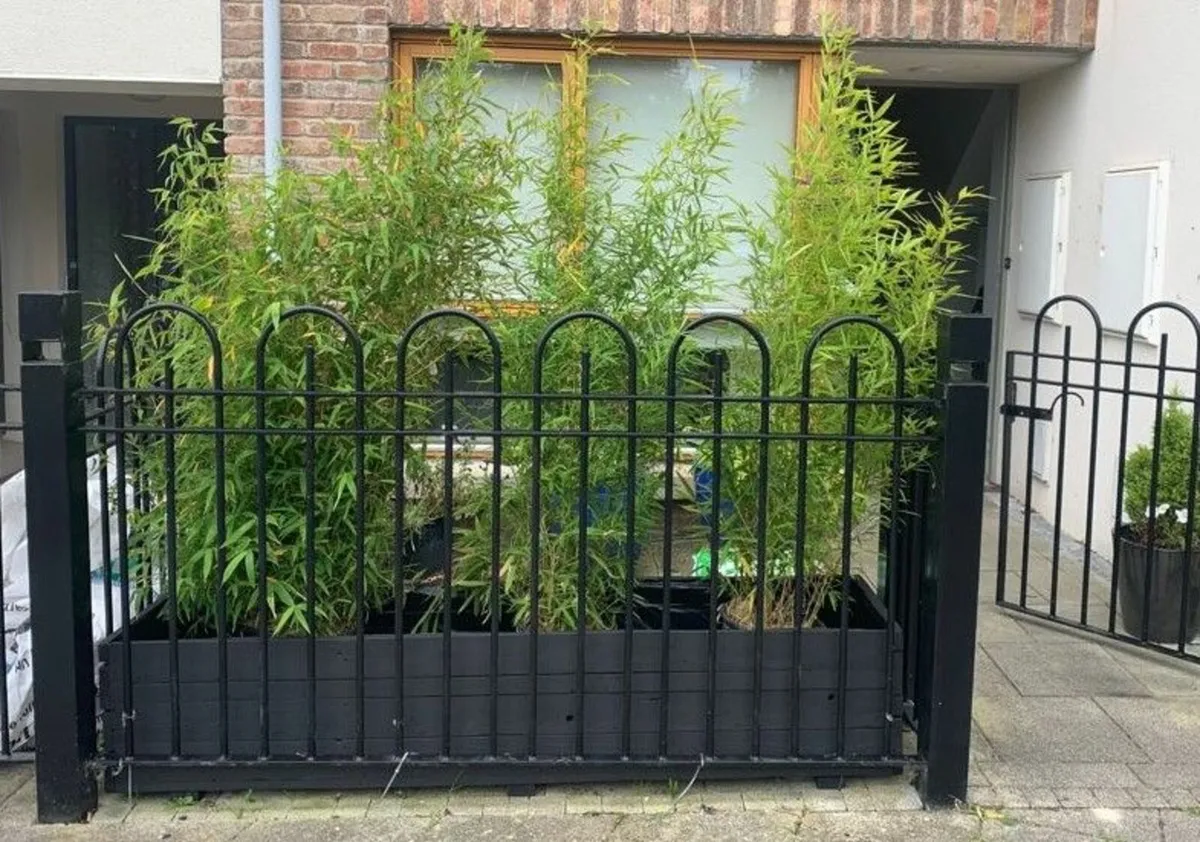 Custom Wooden Planters - Image 3