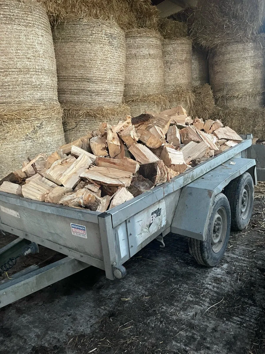 Firewood - Image 4