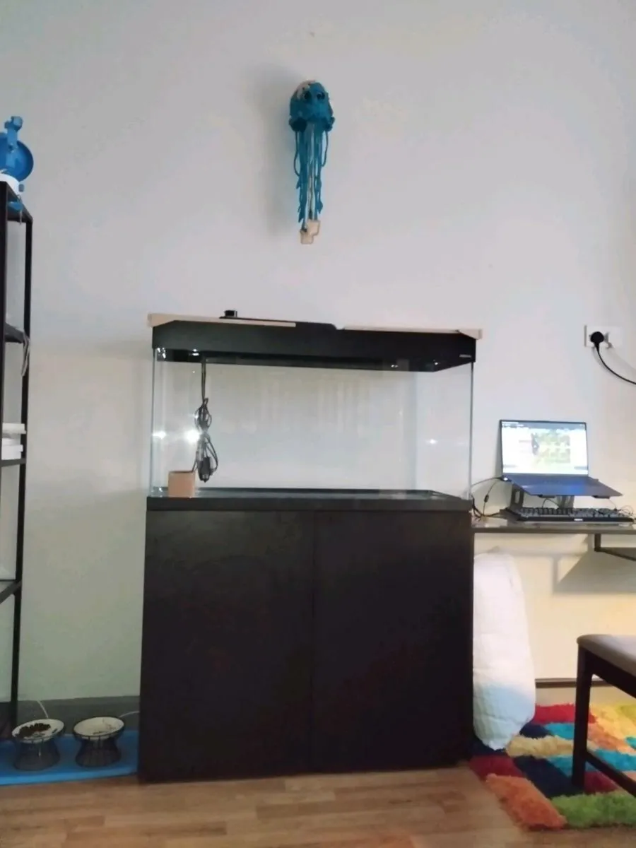 200l Aquarium with cabinet (household breakup) - Image 1